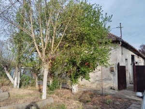 Casă tradițională cu teren grneros  - imagine 5