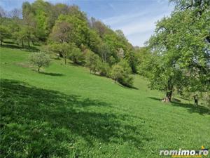 Langa emblematicul Castelul Bran, in areal colinar, 5.700mp intravilan - imagine 10