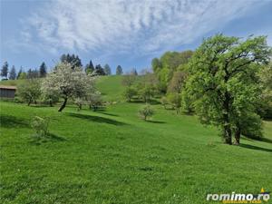 Langa emblematicul Castelul Bran, in areal colinar, 5.700mp intravilan - imagine 3