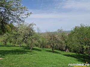 Langa emblematicul Castelul Bran, in areal colinar, 5.700mp intravilan - imagine 8