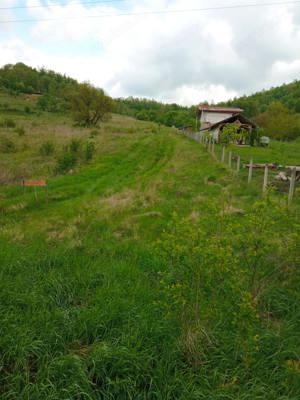 Teren extravilan, 2100mp, Josani, lângă drumul Hunedoara - Nandru - imagine 2