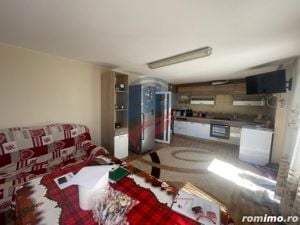 Vilă cu 6 camere de vânzare în zona Calea Severinului - imagine 11