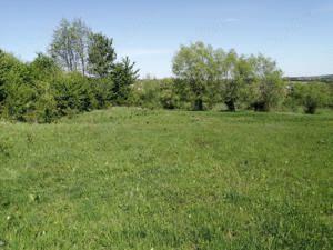  Teren extravilan la Cacica 