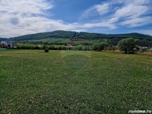 Teren 3,847mp Piatra-Neamt / Strada Boboteni - imagine 5