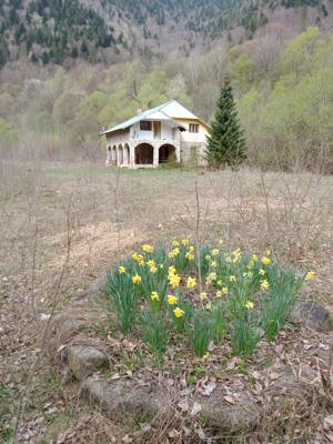 O oază de natură în inima munţilor: Casa + Teren de 30283 m2 în Tarcău - imagine 2