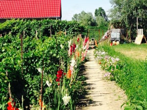 Casă Delta Dunarii(Sat Patlageanca)