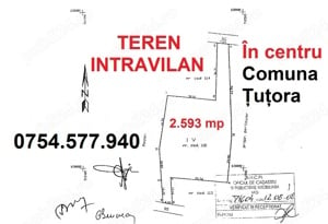 Teren intravilan Tutora - imagine 6