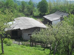 Vand teren + cladiri (fosta ferma IAS Buciumeni) - imagine 6