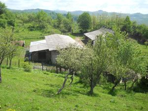 Vand teren + cladiri (fosta ferma IAS Buciumeni) - imagine 3