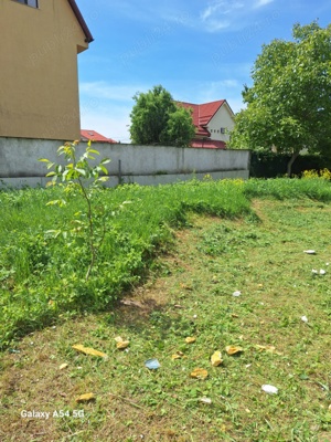 servicii spatii verzi  defrisari terenuri