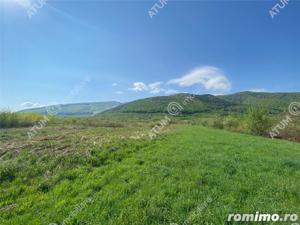 Teren extravilan pretabil caban in zona panoramica Poplaca judet Sibiu - imagine 2