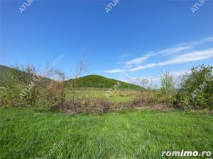 Teren extravilan pretabil caban in zona panoramica Poplaca judet Sibiu - imagine 4