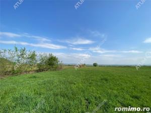 Teren extravilan pretabil caban in zona panoramica Poplaca judet Sibiu - imagine 3