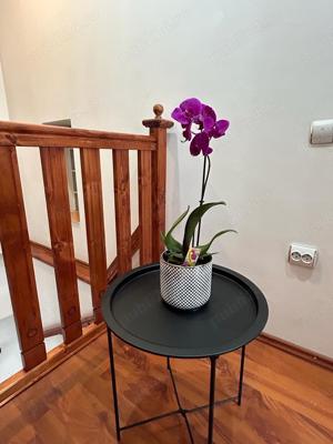 Inchiriez apartament in Brasov, Centrul Istoric - imagine 8