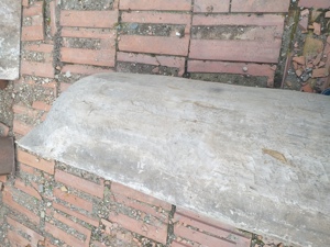 Vînd  copaie de lemn 