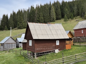 Vând cabana Poiana Horea!