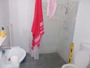 Casa, Sanandrei, 2 camere, teren 1340mp, gradina pomi, asfalt, utilitati, centrala gaz - imagine 10