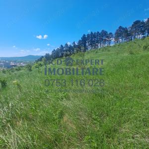 Teren Intravilan zona Fermelor 1720 mp - imagine 2