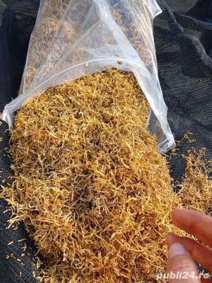 Tutun la super preturi .oferta 2kg +500 gr bonus