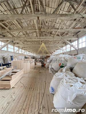 TEREN CU HALE DE PRODUCTIE   DE VANZARE - AGAS - imagine 2