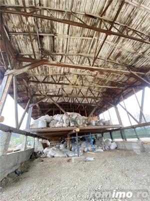 TEREN CU HALE DE PRODUCTIE   DE VANZARE - AGAS - imagine 19