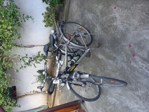 Bicicletă - imagine 3