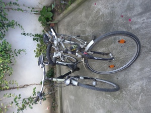 Bicicletă - imagine 2