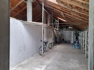 Vand casa Peciu Nou - imagine 8