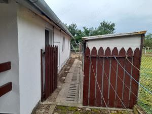 Vand casa Peciu Nou - imagine 4