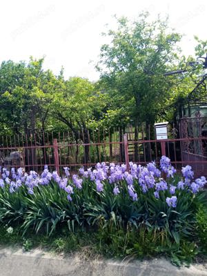 Casa de vanzare in Zorleni - imagine 3