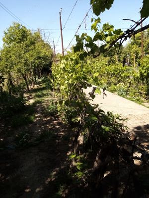 Casa de vanzare in Zorleni - imagine 4