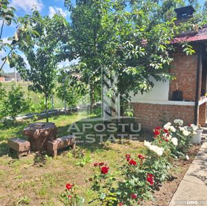 Casa individuala in Ianova,Comuna Remetea Mare - imagine 8