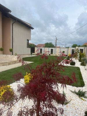  Servicii peisagistice