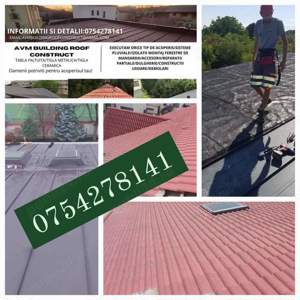 Soluția acoperișului tău  - imagine 2