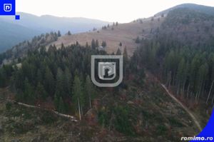 Teren situat in Frasin | BUCOVINA - imagine 5