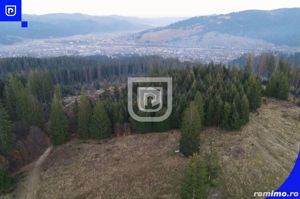 Teren situat in Frasin | BUCOVINA - imagine 4