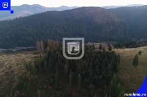 Teren situat in Frasin | BUCOVINA - imagine 7