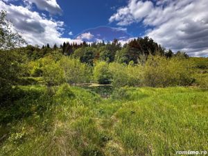 Teren intravilan cu rau, lac si helesteu - imagine 9