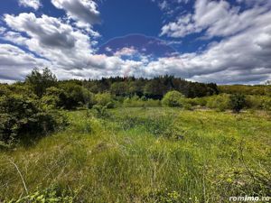 Teren intravilan cu rau, lac si helesteu - imagine 6