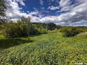 Teren intravilan cu rau, lac si helesteu - imagine 7