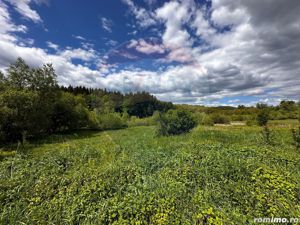 Teren intravilan cu rau, lac si helesteu - imagine 4