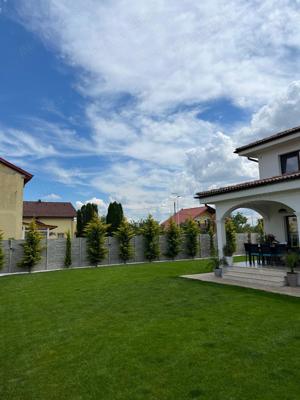 Consultata, amenajare si intretinere completa a spatilor verzii  - imagine 3