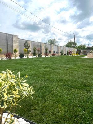 Consultata, amenajare si intretinere completa a spatilor verzii  - imagine 8