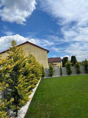 Consultata, amenajare si intretinere completa a spatilor verzii  - imagine 7