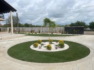 Consultata, amenajare si intretinere completa a spatilor verzii  - imagine 2