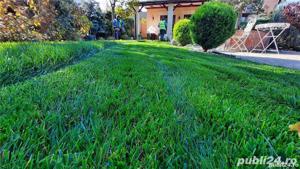 Servicii peisagistice