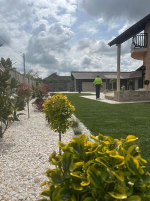  Servicii peisagistice - imagine 6