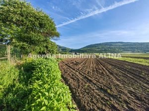 Teren intravilan 4094mp in Satul Soimus din Comuna Soimus, Jud. Hunedoara. - imagine 2