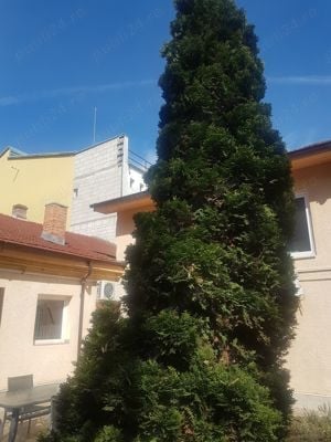 Excusivitate Urbană -Proprietate Premium cu Potential Vast de Dezvoltare in Timisoara pe Rebreanu ,