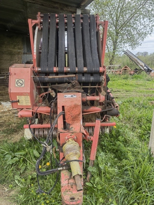 Balotiera baloti rotunzi - imagine 4